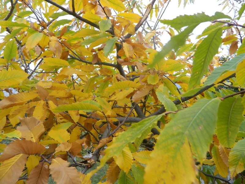 DSCN3816.JPG