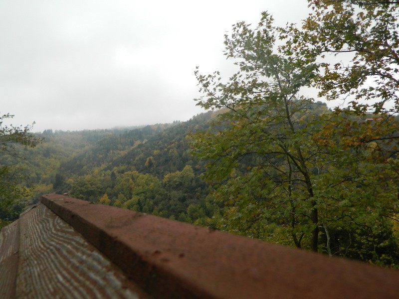 DSCN3829.JPG