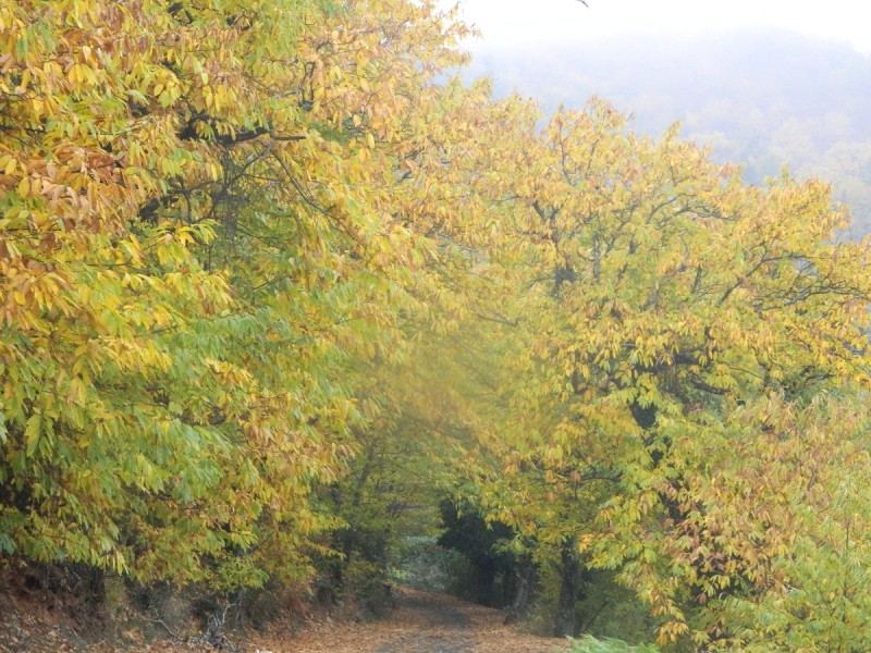 DSCN3833.JPG