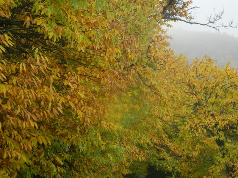 DSCN3834.JPG