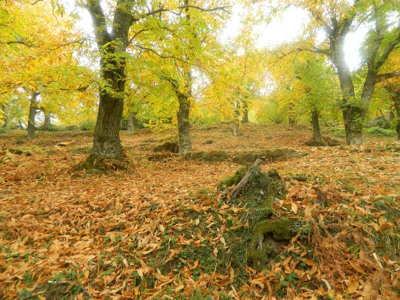 DSCN3846.JPG
