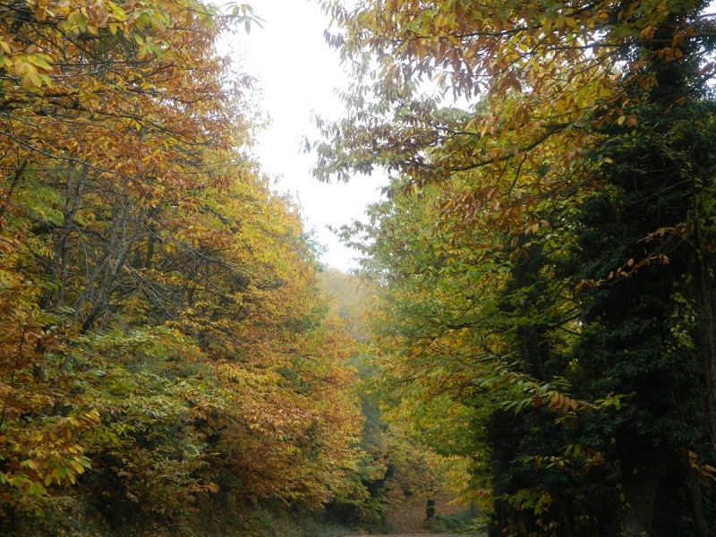 DSCN3847.JPG