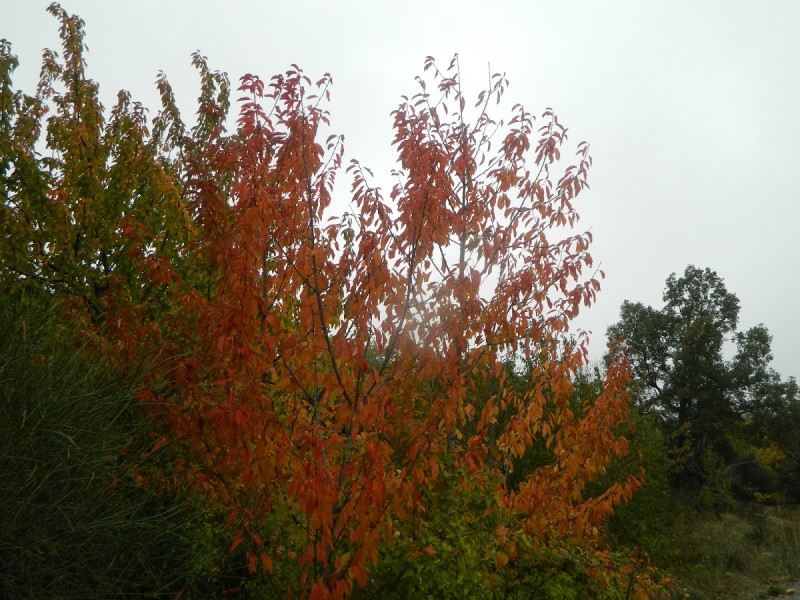 DSCN3850.JPG