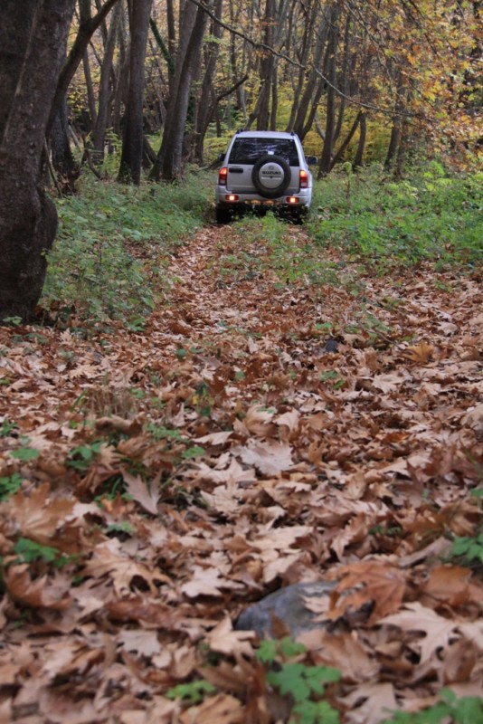 2012_11_18_2137.JPG