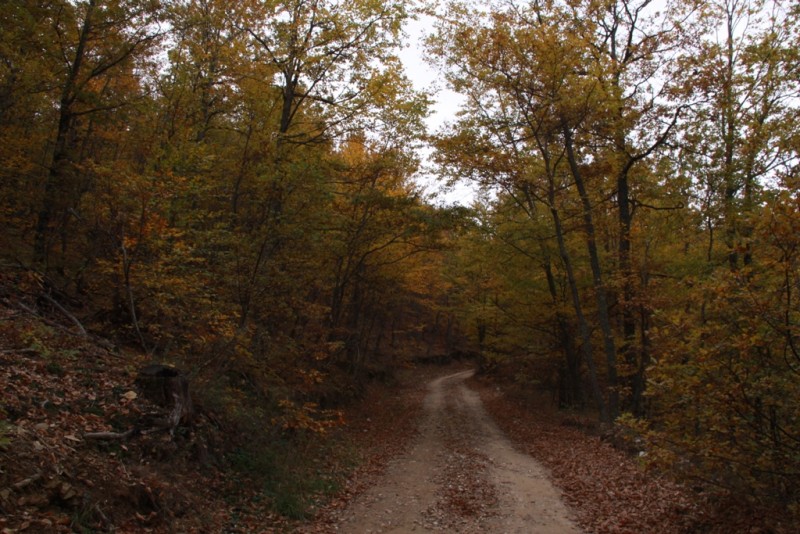 2012_11_18_2151.JPG