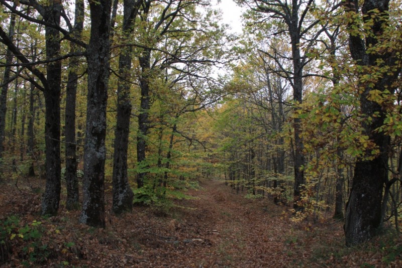 2012_11_18_2152.JPG