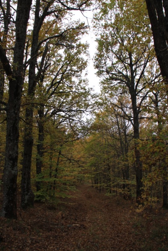 2012_11_18_2153.JPG