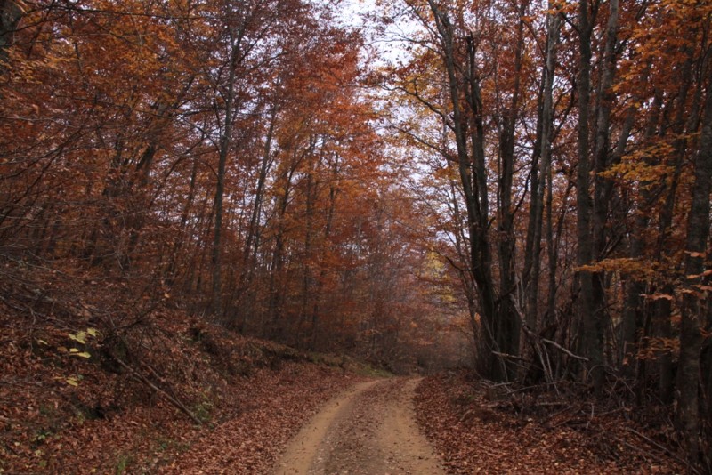 2012_11_18_2156.JPG