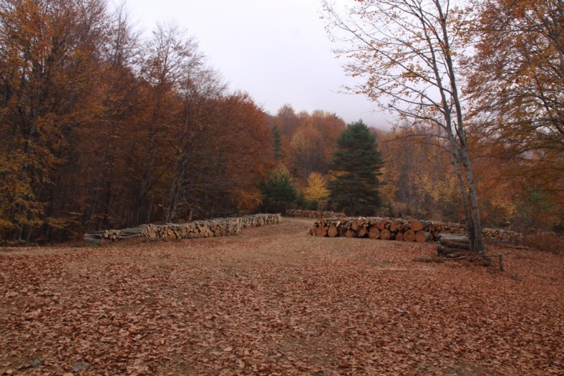 2012_11_18_2166.JPG