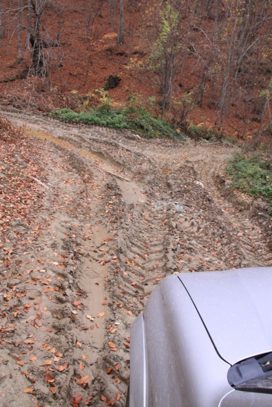 2012_11_18_2169.JPG