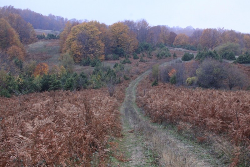 2012_11_18_2177.JPG