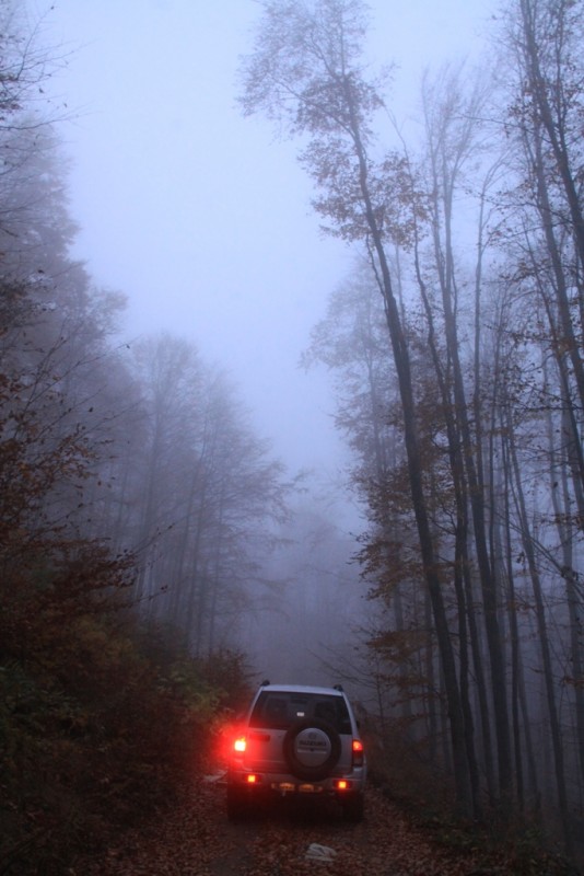 2012_11_18_2187.JPG