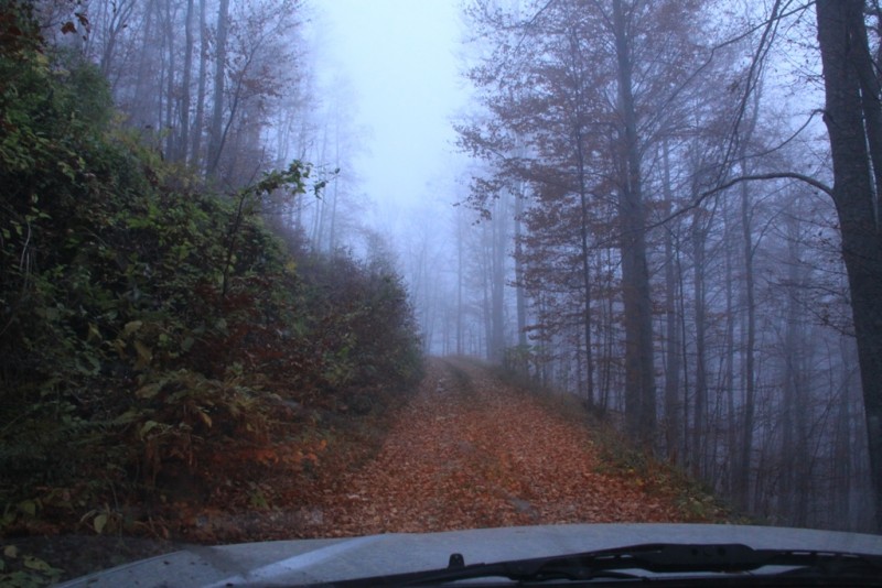 2012_11_18_2190.JPG