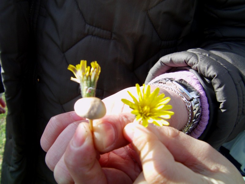 IMAG0026.jpg