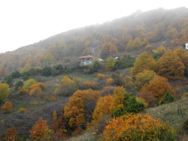 DSCN3443.JPG