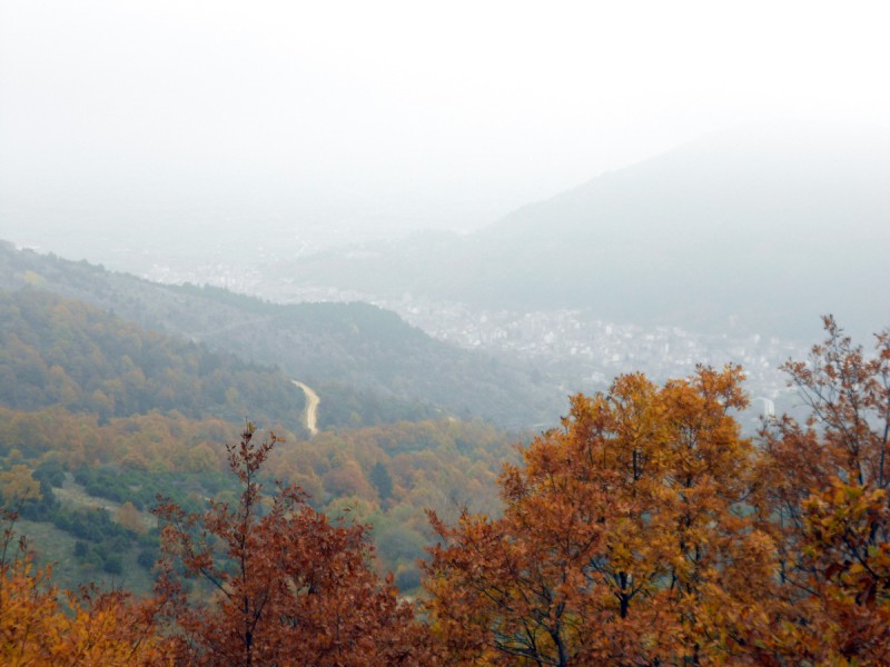 DSCN3435.JPG