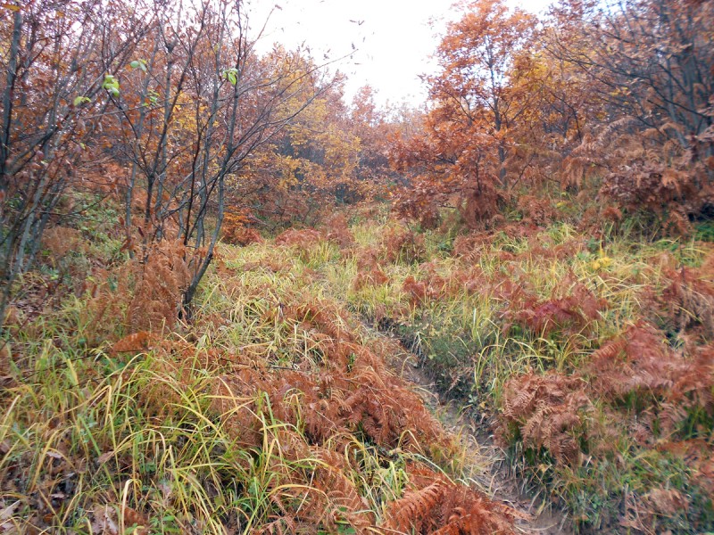 DSCN3433.JPG