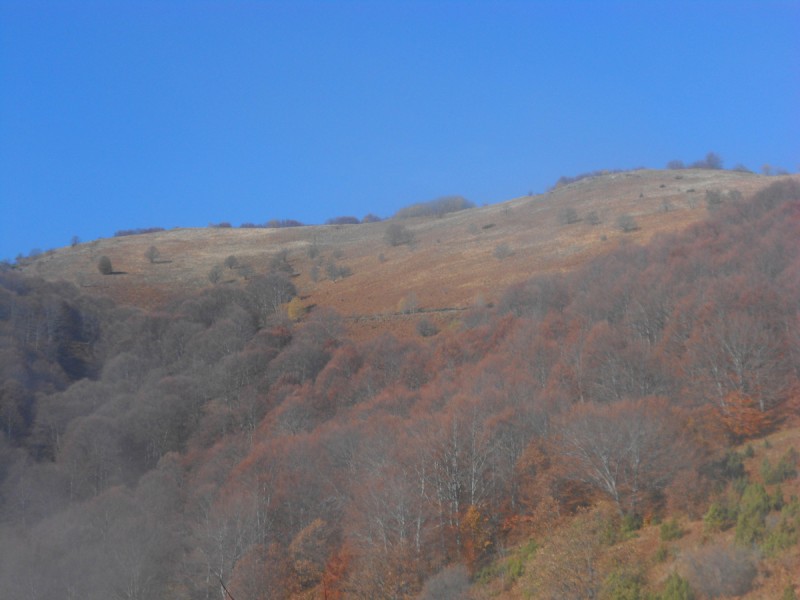DSCN3429.JPG
