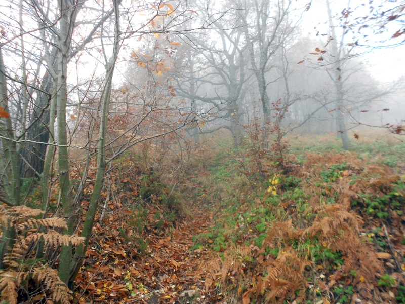 DSCN3425.JPG