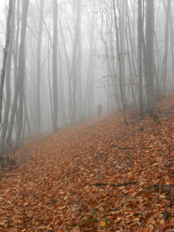 DSCN3412.JPG
