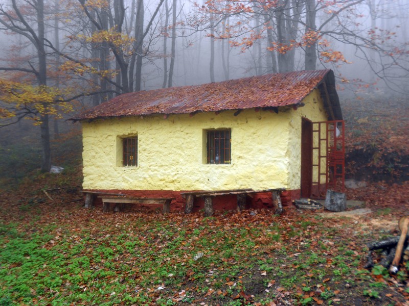 DSCN3410.JPG
