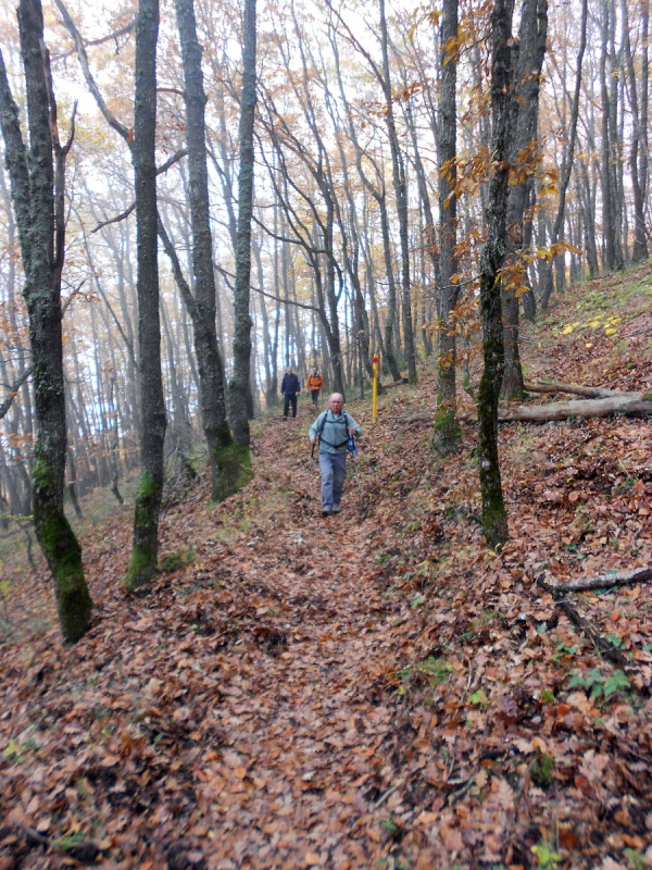 DSCN3396.JPG