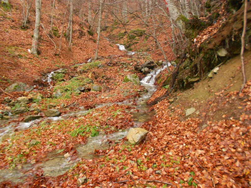 DSCN3447.JPG