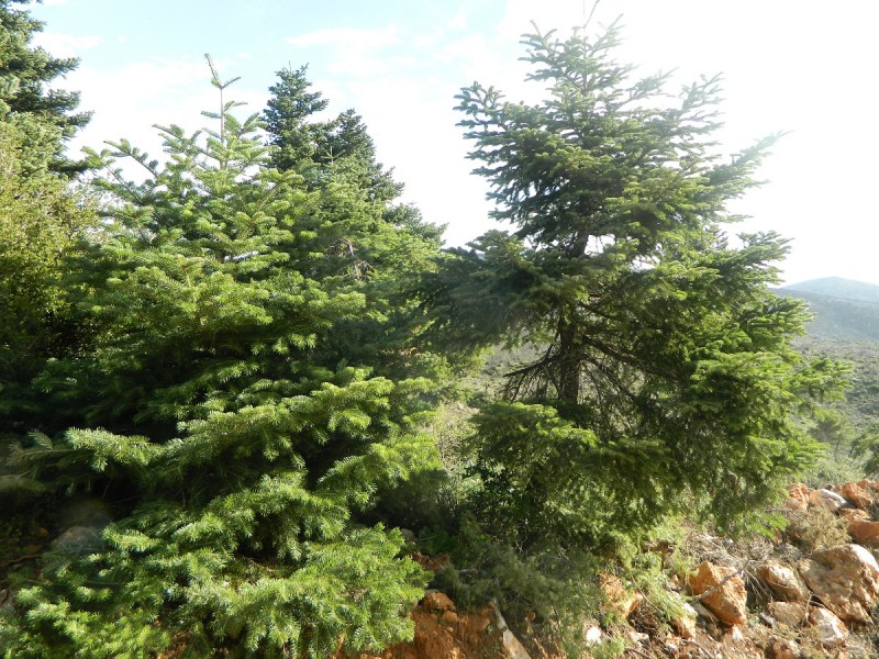 DSCN3985.JPG