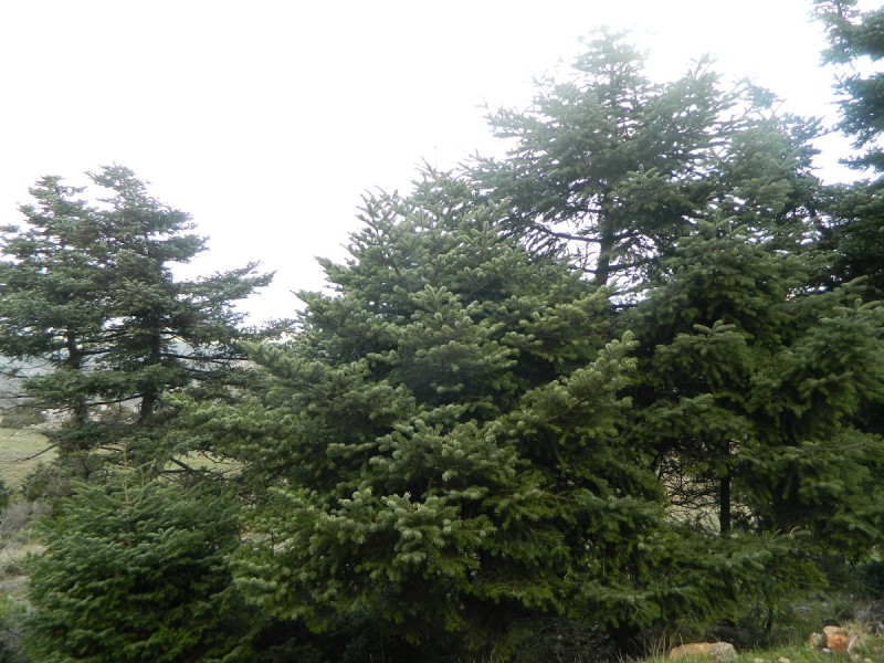 DSCN3988.JPG
