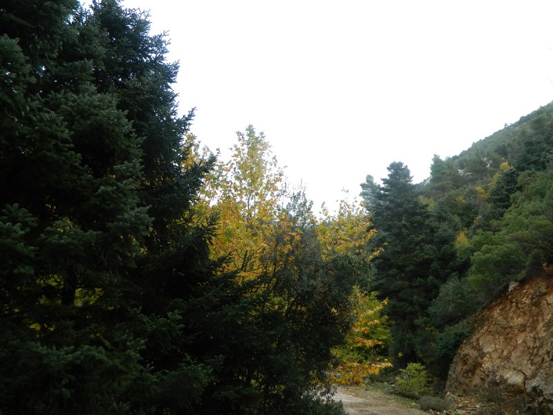 DSCN4041.JPG