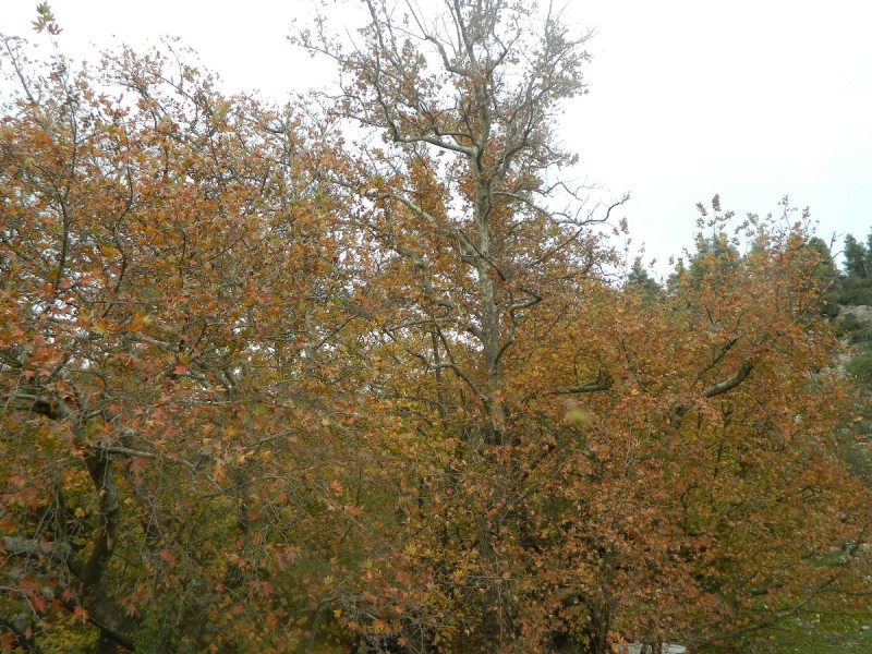 DSCN4054.JPG