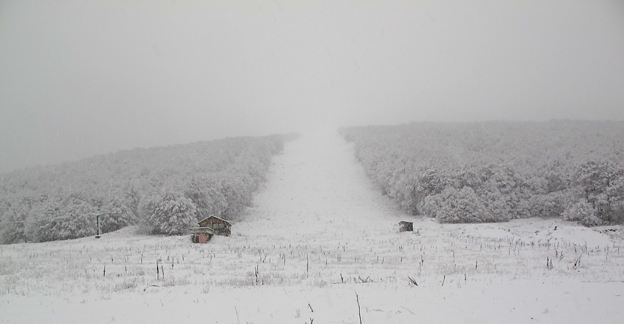 ΒΙΤΣΙ 2 12 2012.jpg