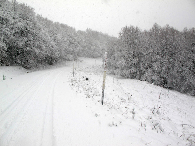 ΒΙΤΣΙ 2 12 2012 3.jpg