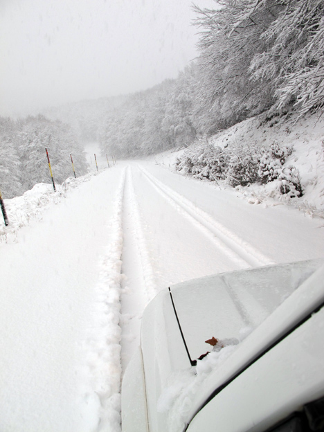 ΒΙΤΣΙ 2 12 2012 5.jpg