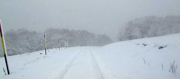 ΒΙΤΣΙ 2 12 2012 6.jpg