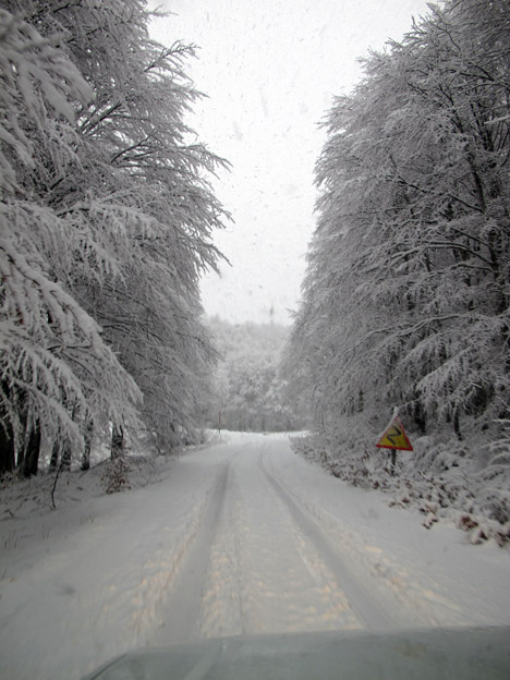 ΒΙΤΣΙ 2 12 2012 7.jpg