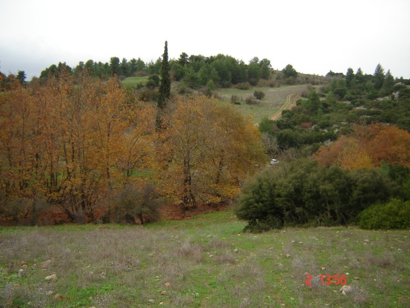 DSC01344.jpg