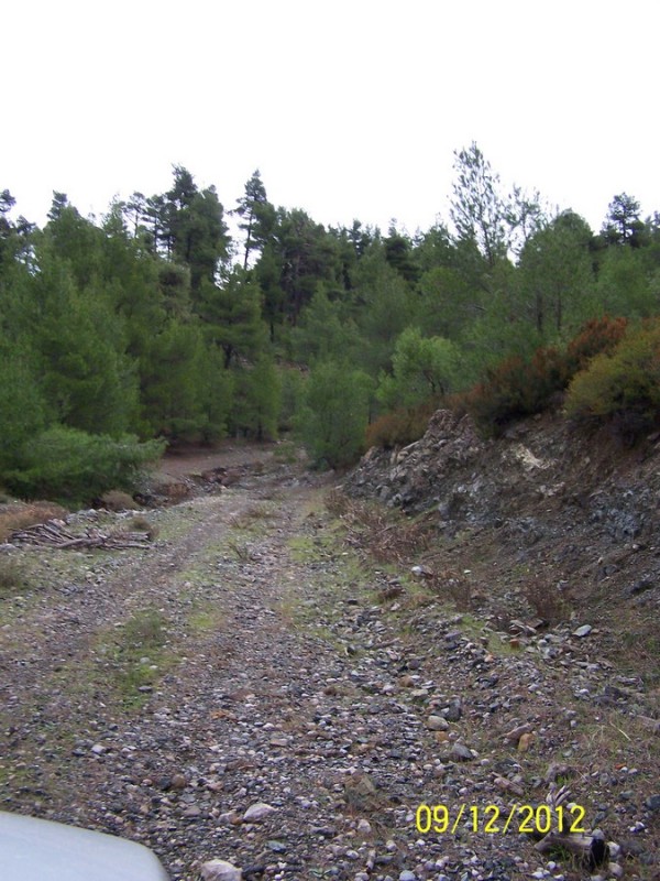 100_2688_tn.jpg