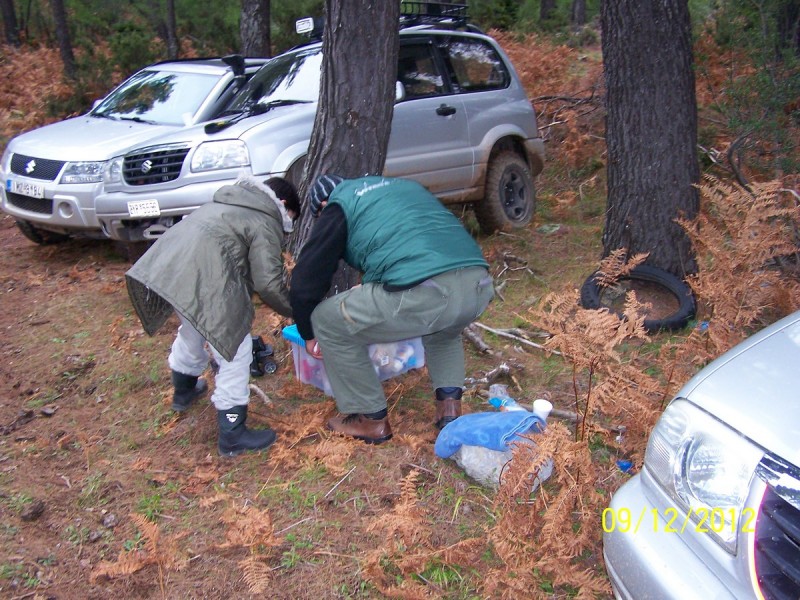 100_2750_tn.jpg