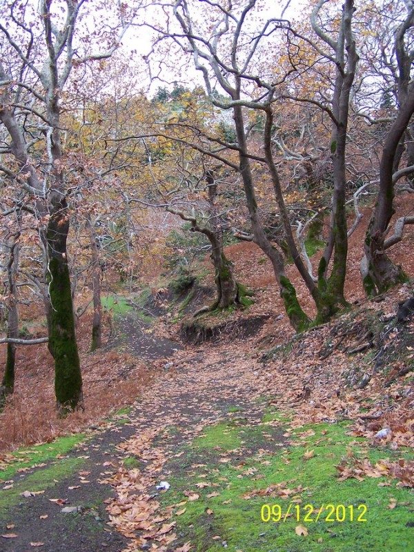 100_2751_tn.jpg