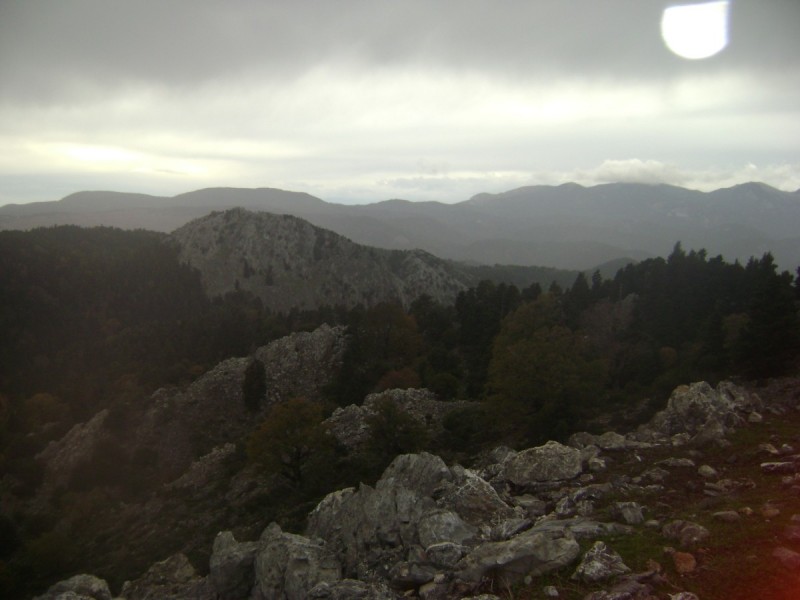 DSC01294.jpg