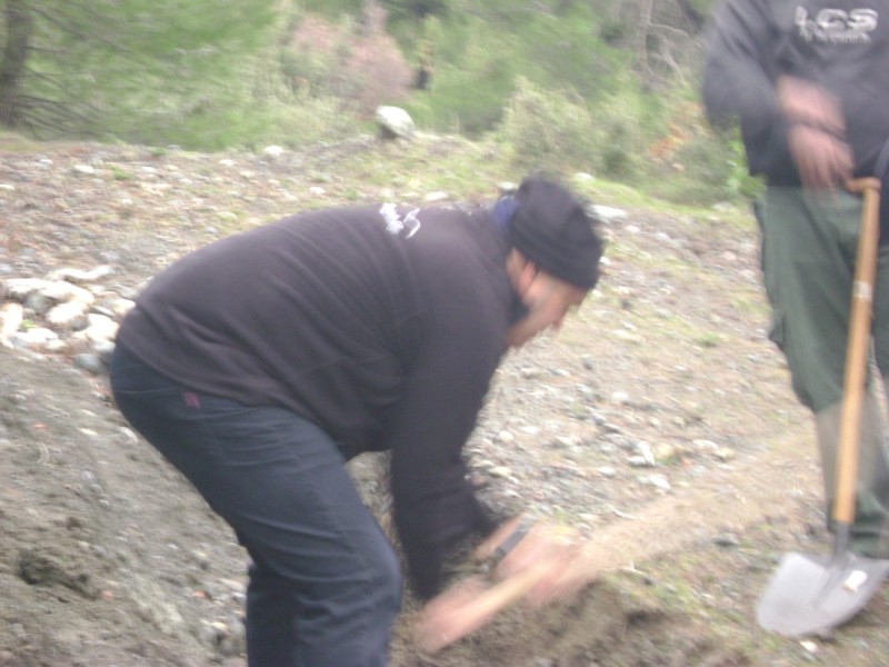 DSC01288.jpg