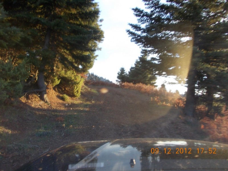 DSCN0521.jpg