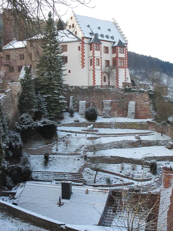 IMG_0437_576x768.jpg