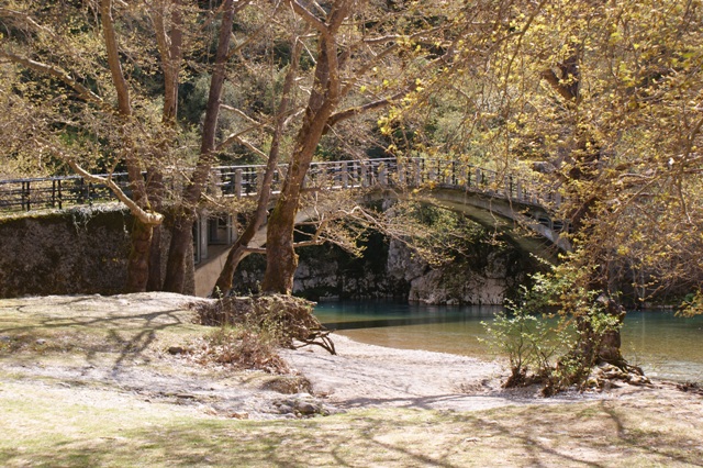 DSC01394.JPG