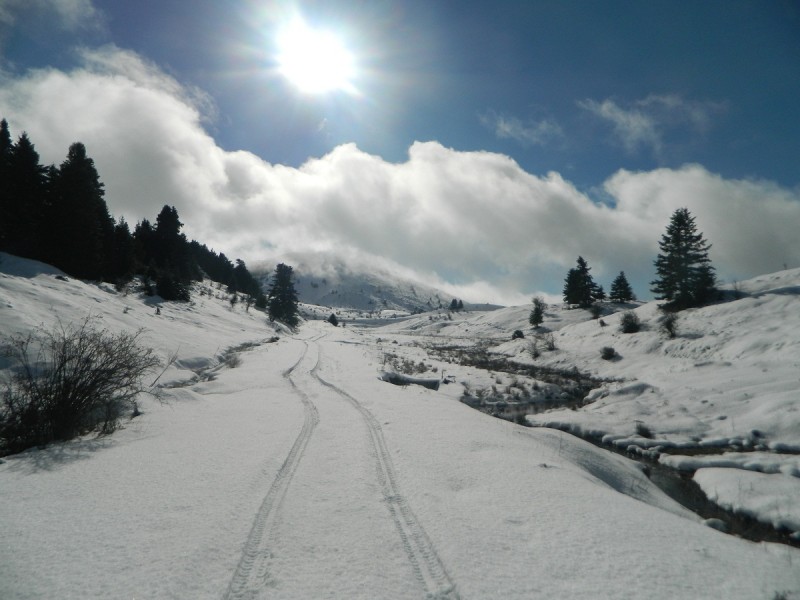 DSCN4221.JPG