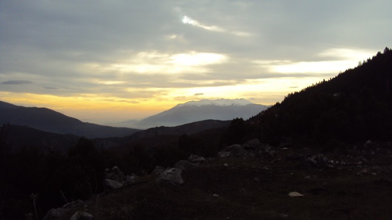DSC04086.jpg