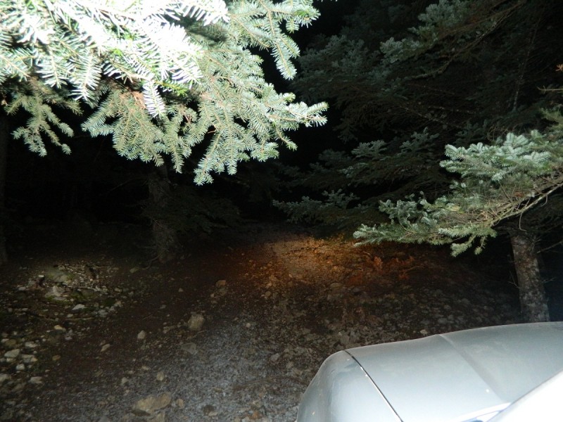 DSCN4110.JPG
