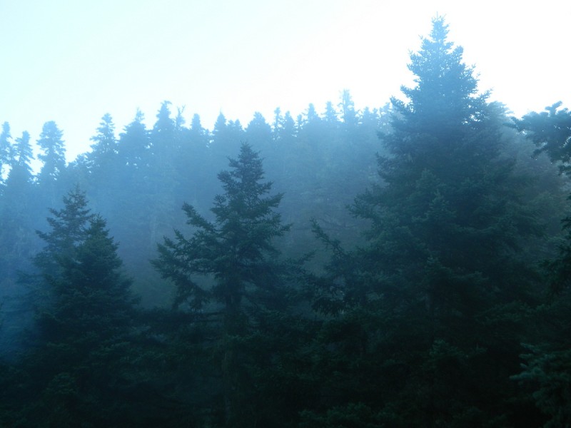 DSCN4148.JPG