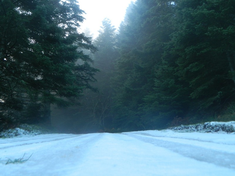 DSCN4149.JPG